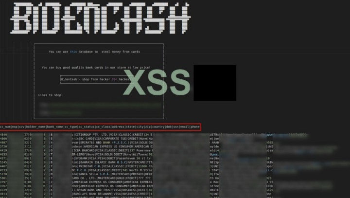 credit card dark web links
